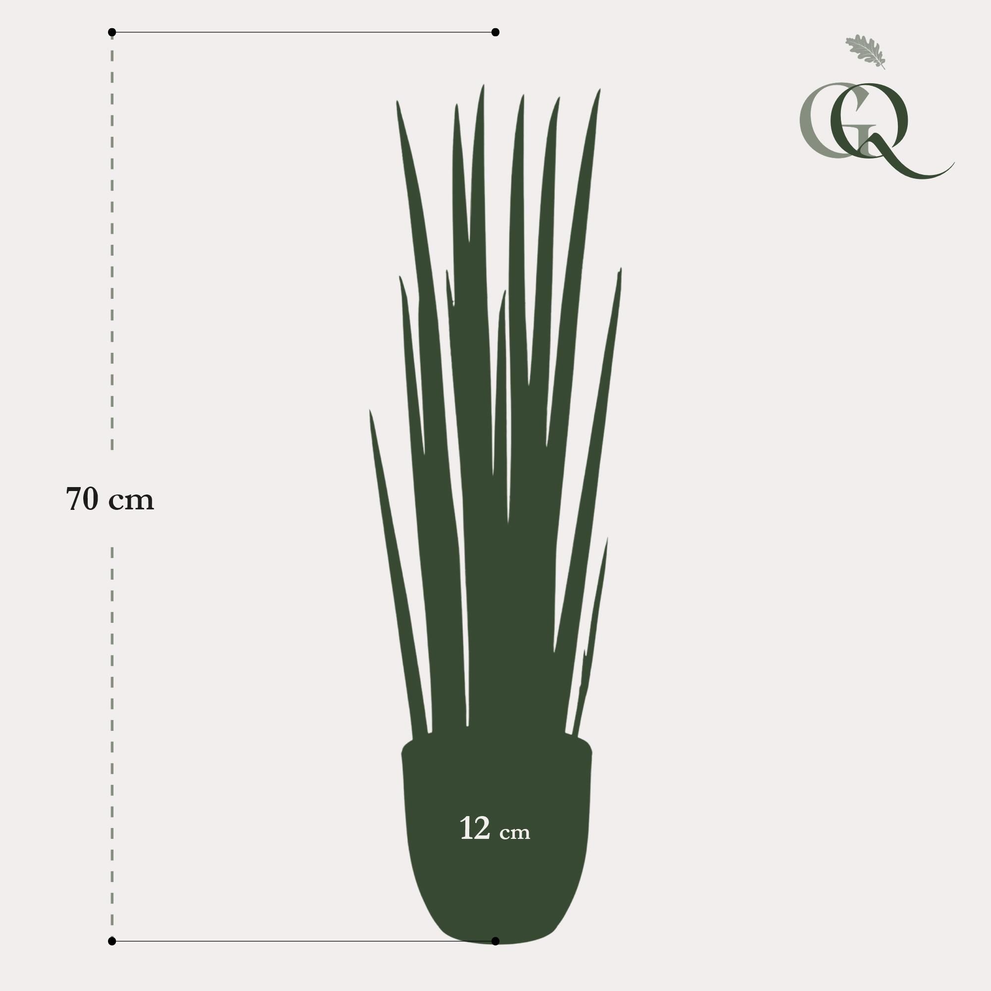 Kunstpflanze Sansevieria Cylindrica Frauenzunge