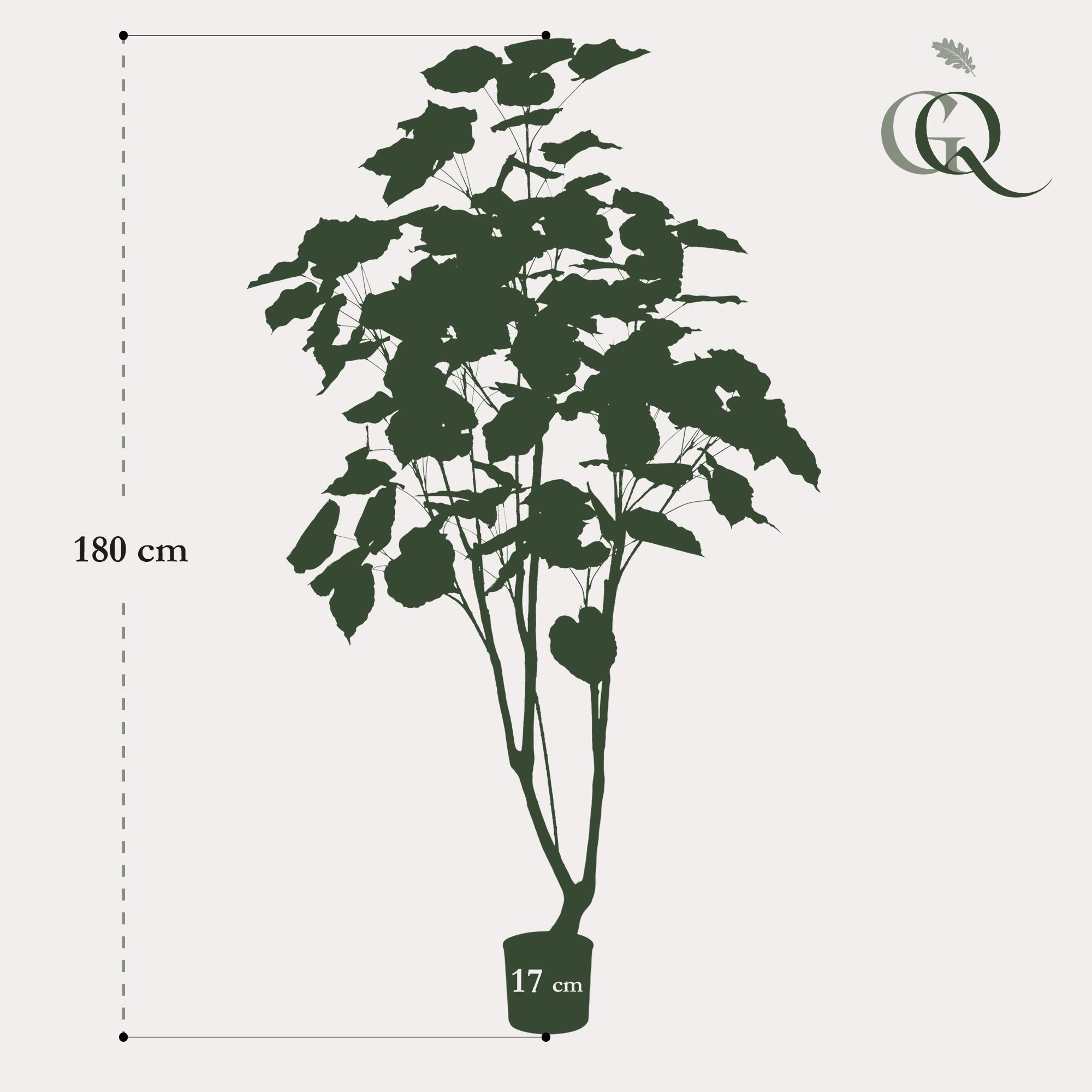 Ficus Umbellata Kunstpflanze