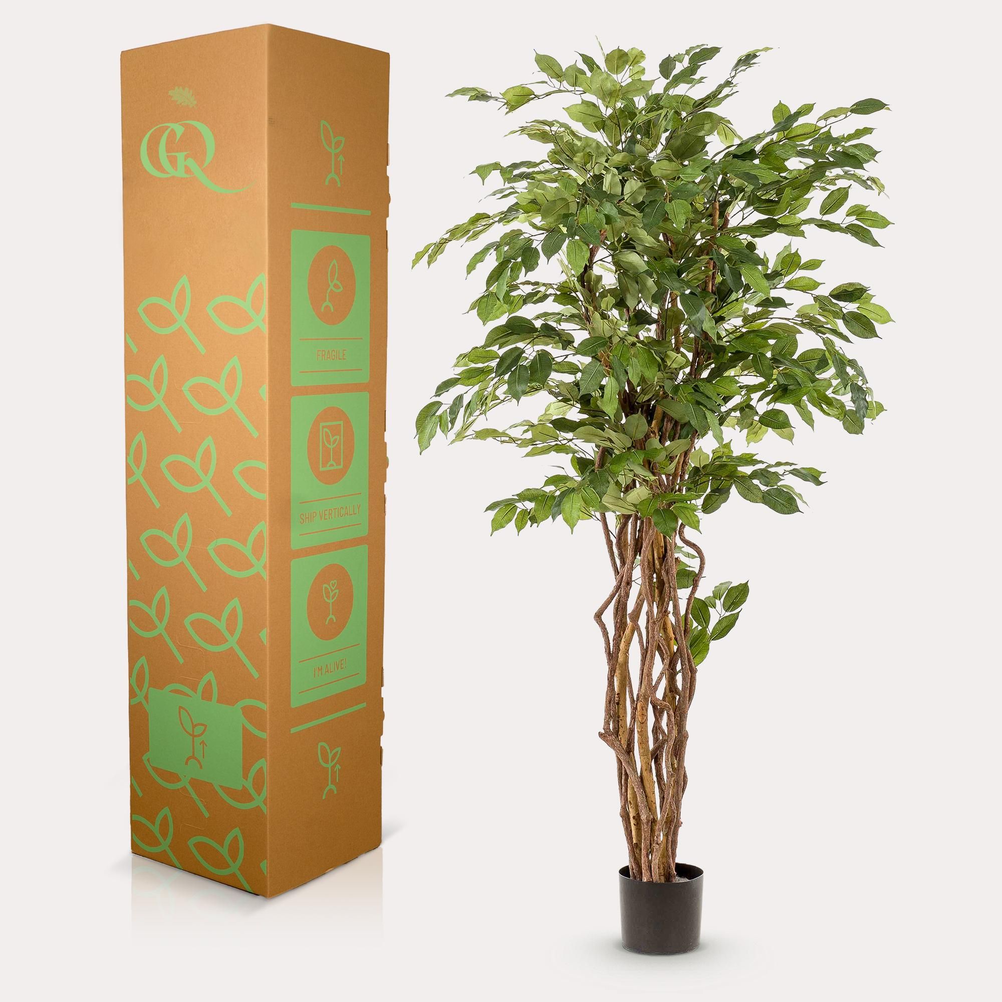 Kunstpflanze Ficus Liana – Kunstblume – 170cm