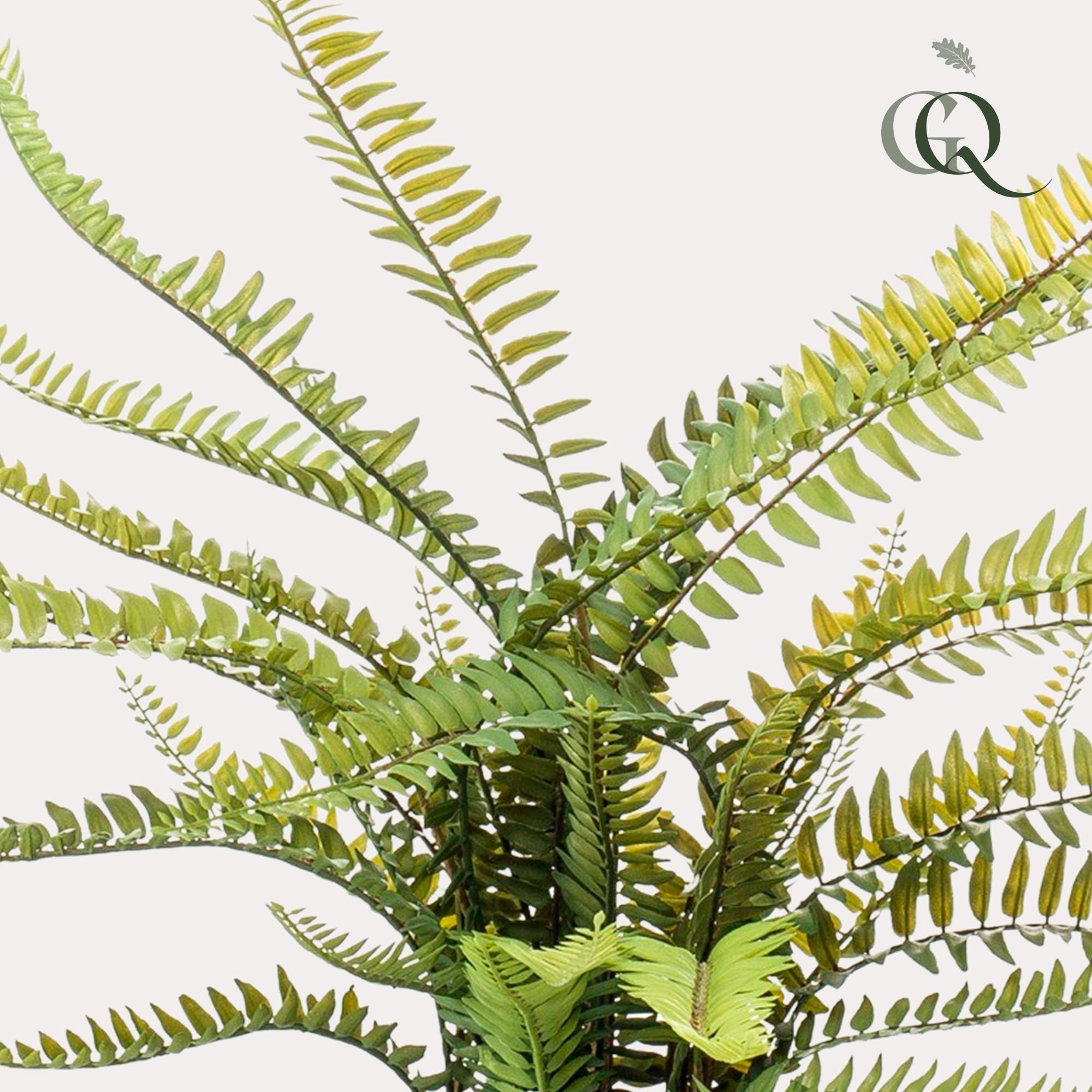 Kunstpflanze Nephrolepis Exaltata Boston Farn