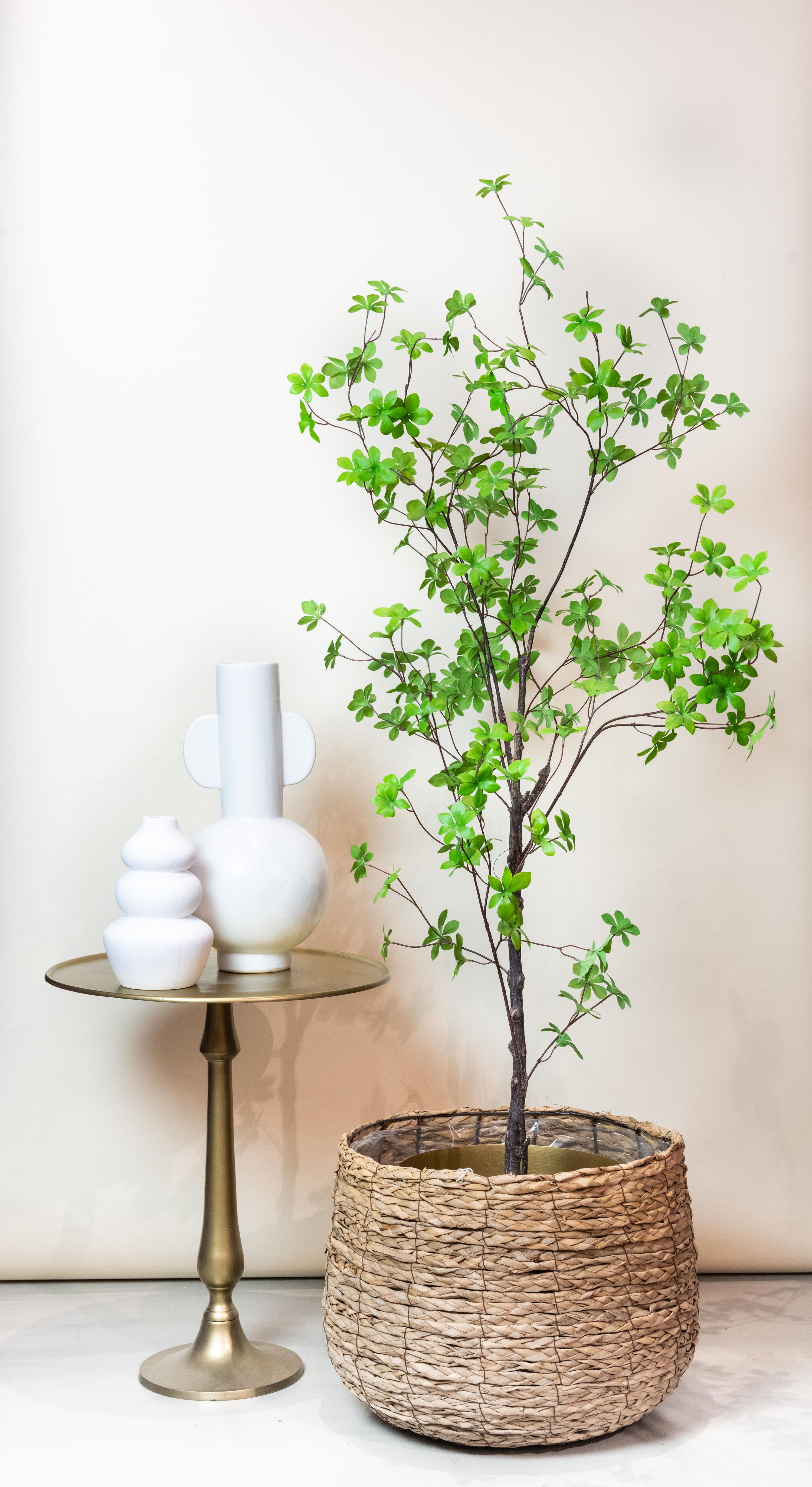 Kunstpflanze Ostindische Kirsche 210cm | Kunstblume hängend wie echt