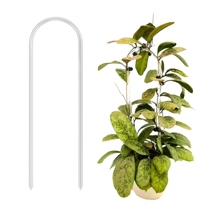 Arch Trellis – Minimalist Support for Your Climbing Plants