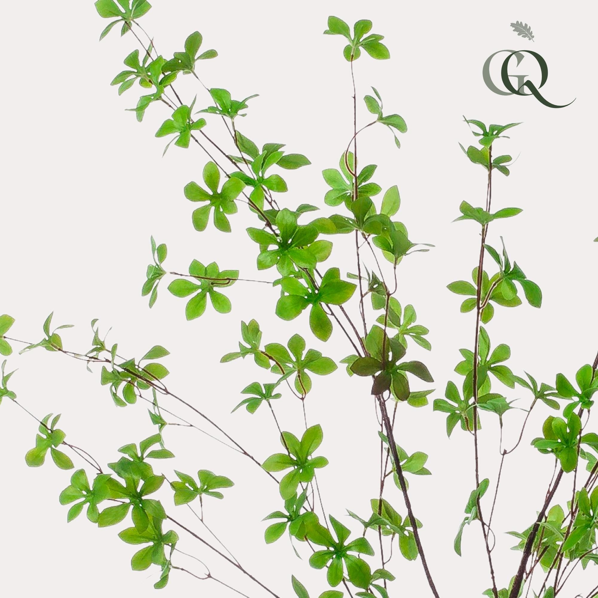 Ostindische Kirsche Kunstpflanze Tropaeolum Speciosum