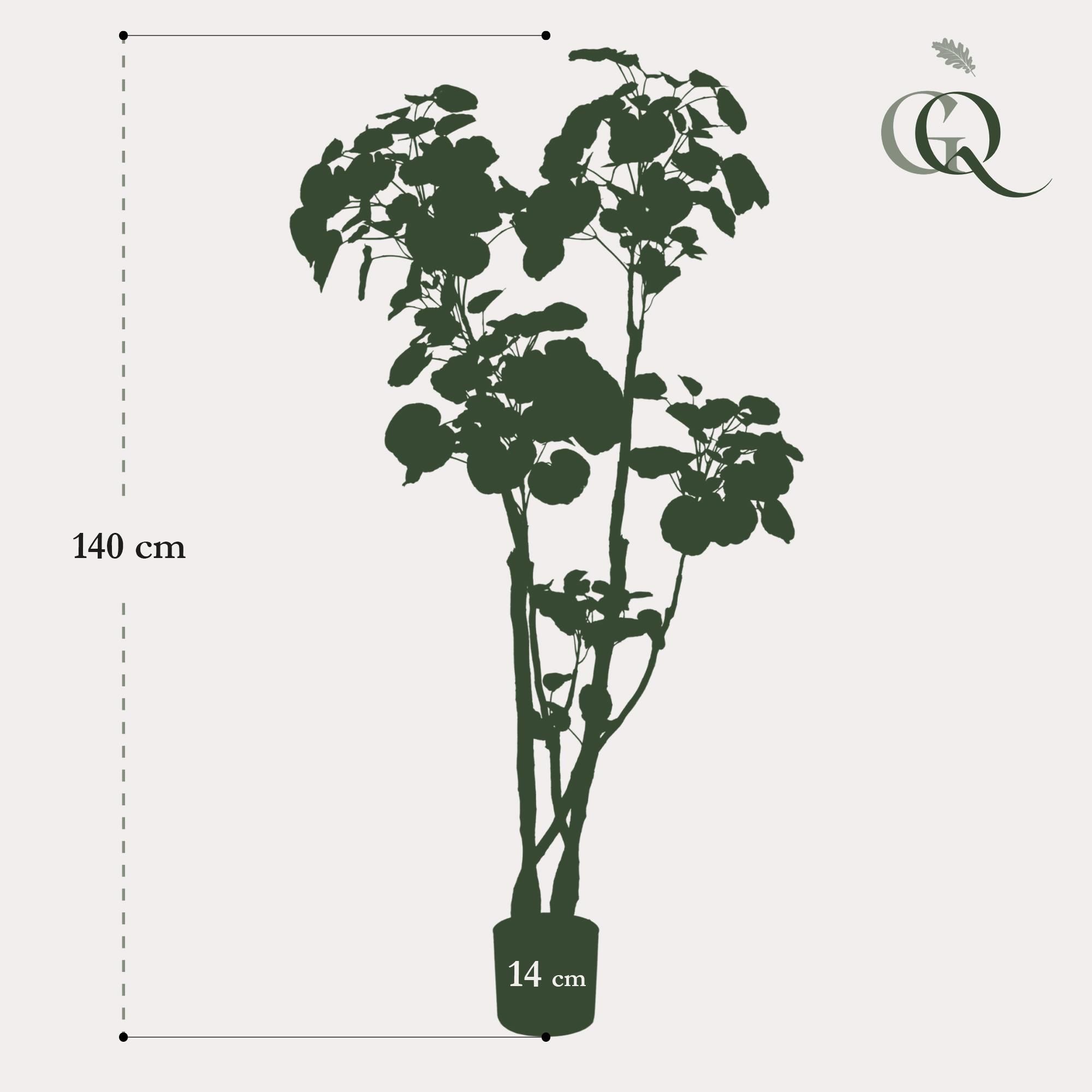 Kunstpflanze Polyscias Aralia mit vielen Blättern