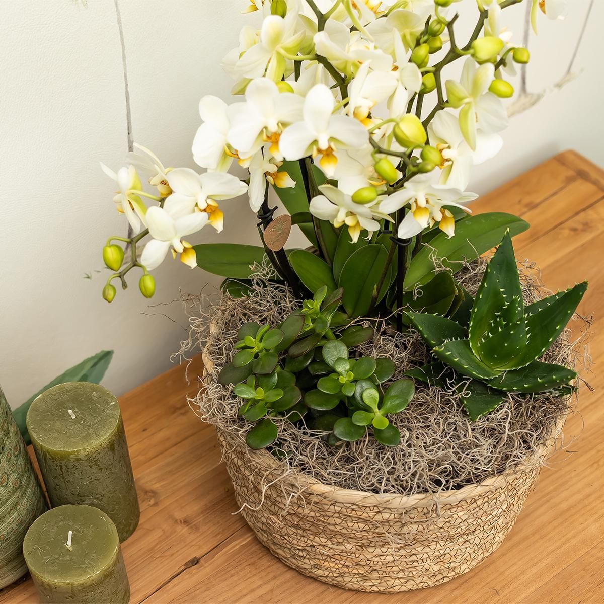 Geflochtener Weidenkorb Dekorative Blumenschale