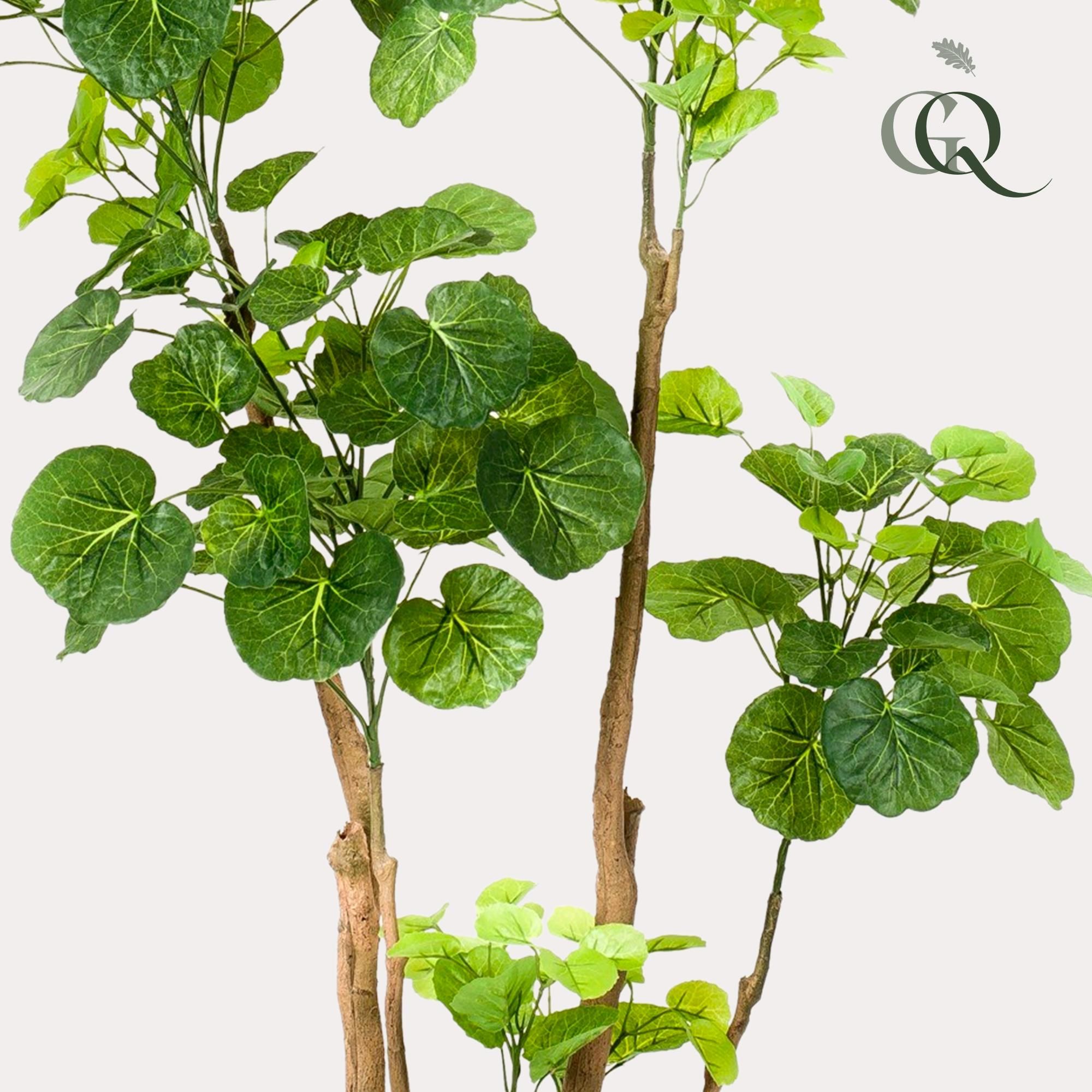 Kunstpflanze Polyscias Aralia mit vielen Blättern
