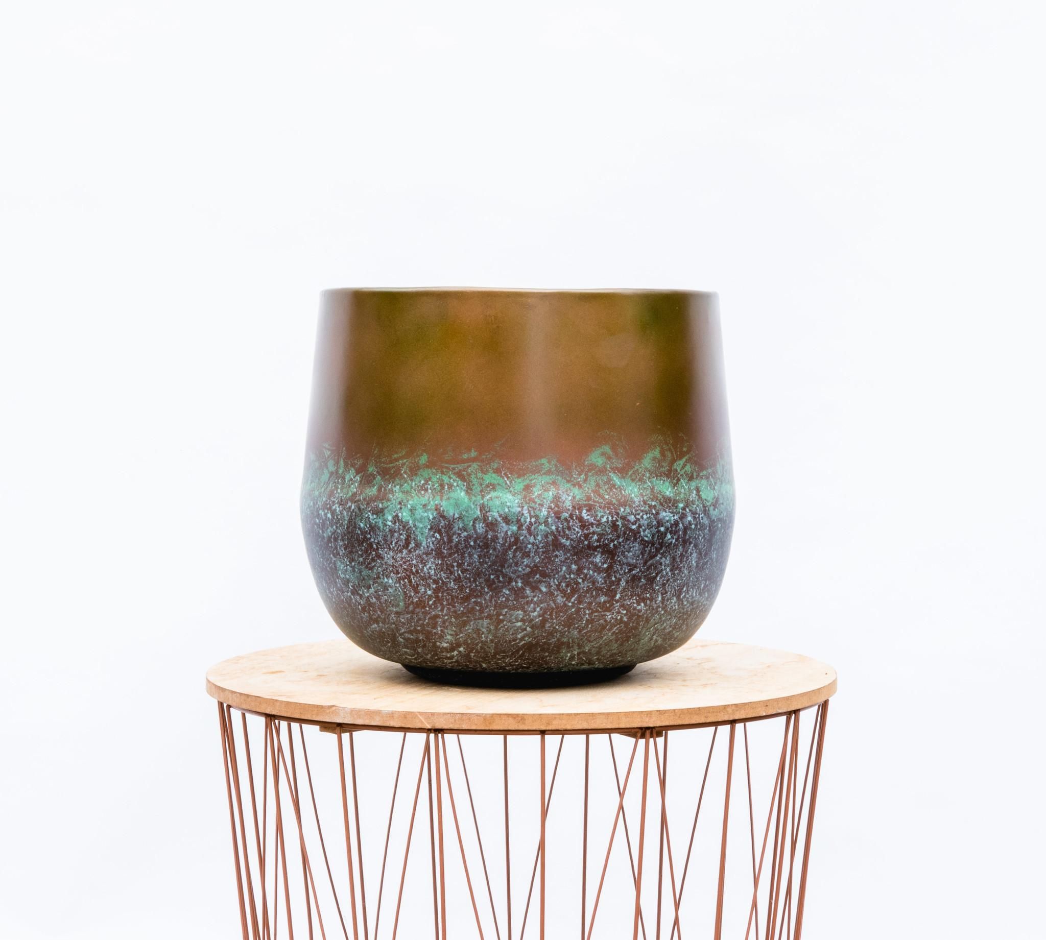 Elisa Mystic Bronze Zimmerpflanze