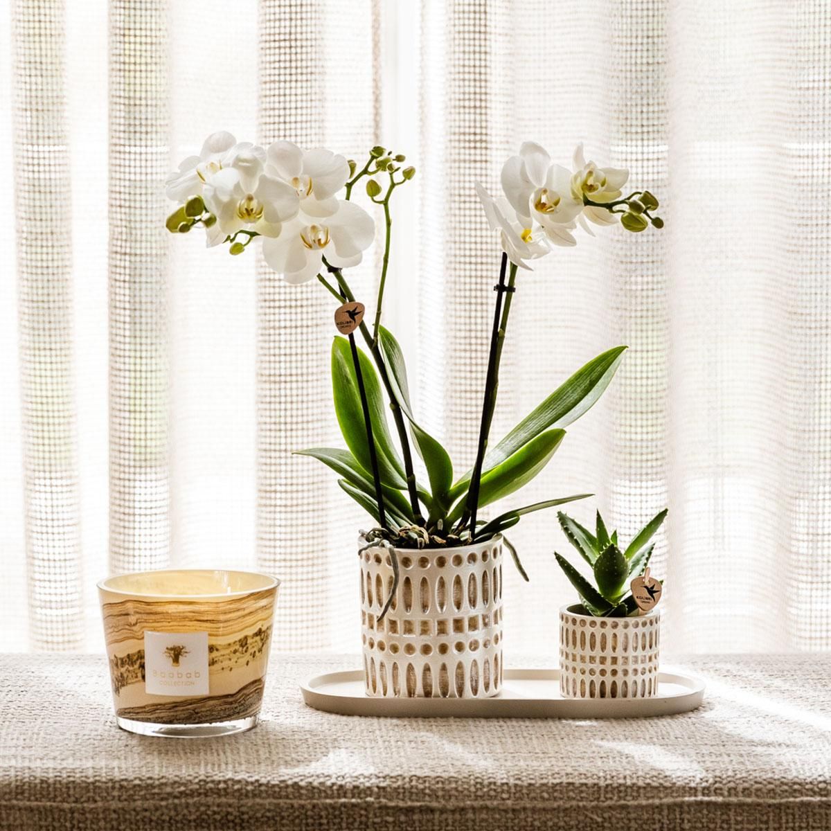 Dekotopf Mosaik Design – Blumentopf Ø9cm