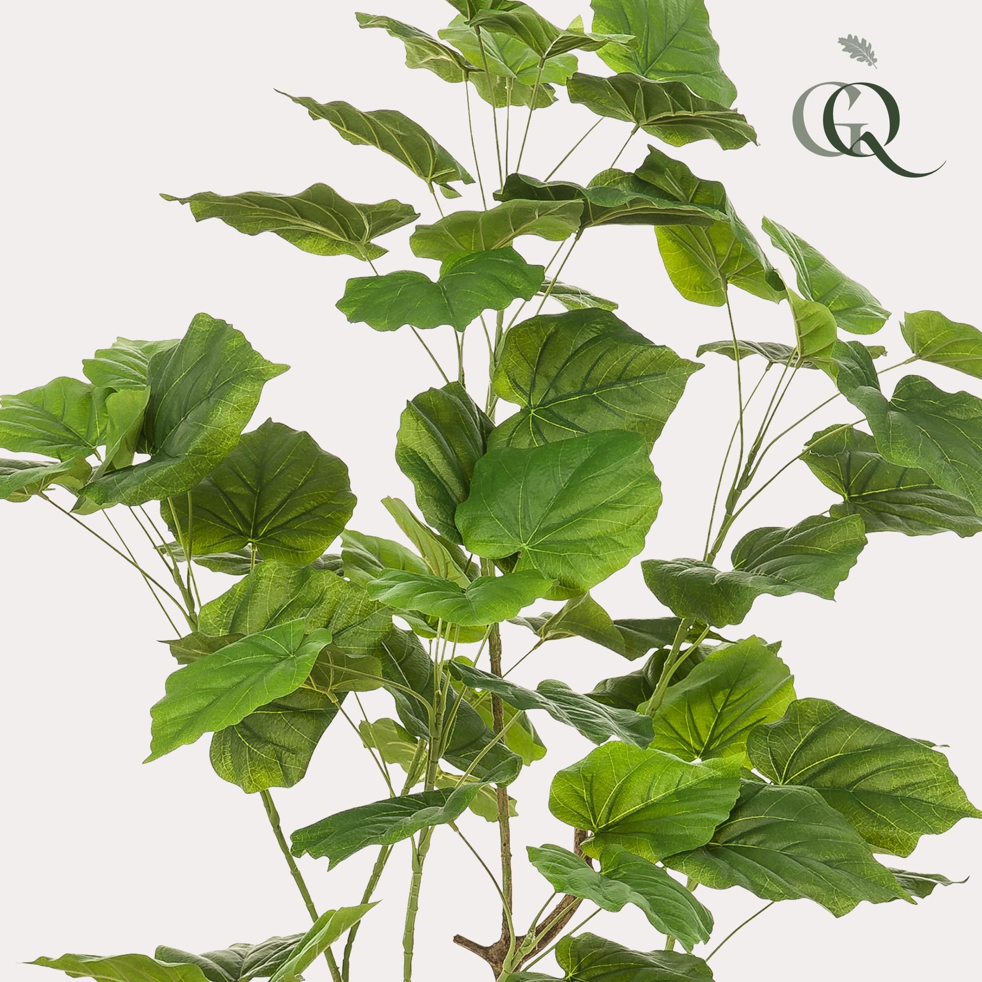 Kunstpflanze Afrikanische Feige Ficus Umbellata 125cm