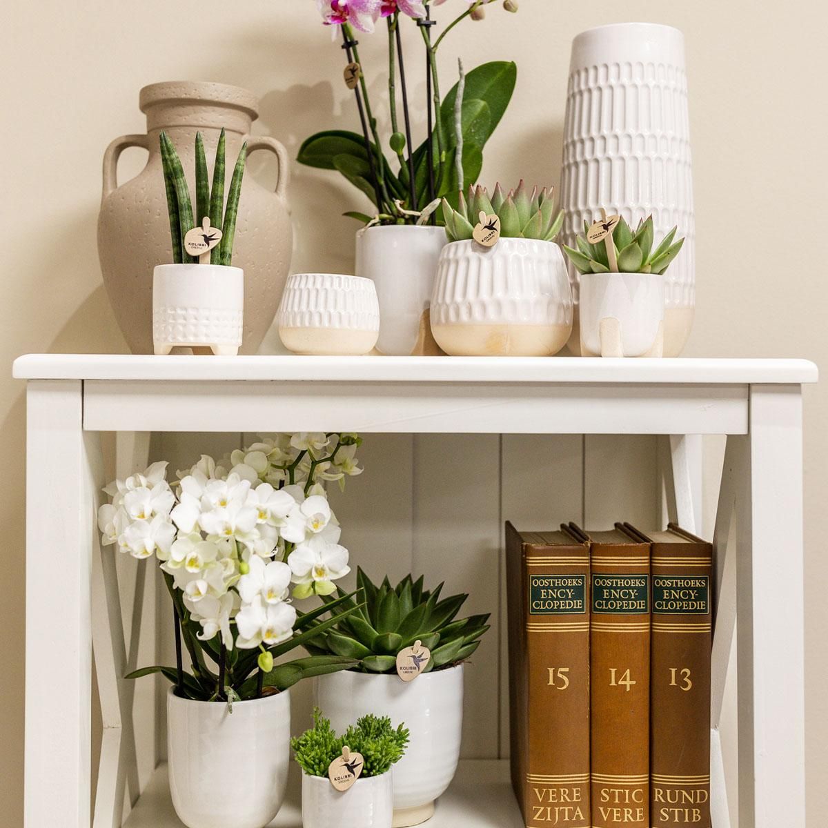 Glänzender Keramik Blumentopf Weiß Ø12cm