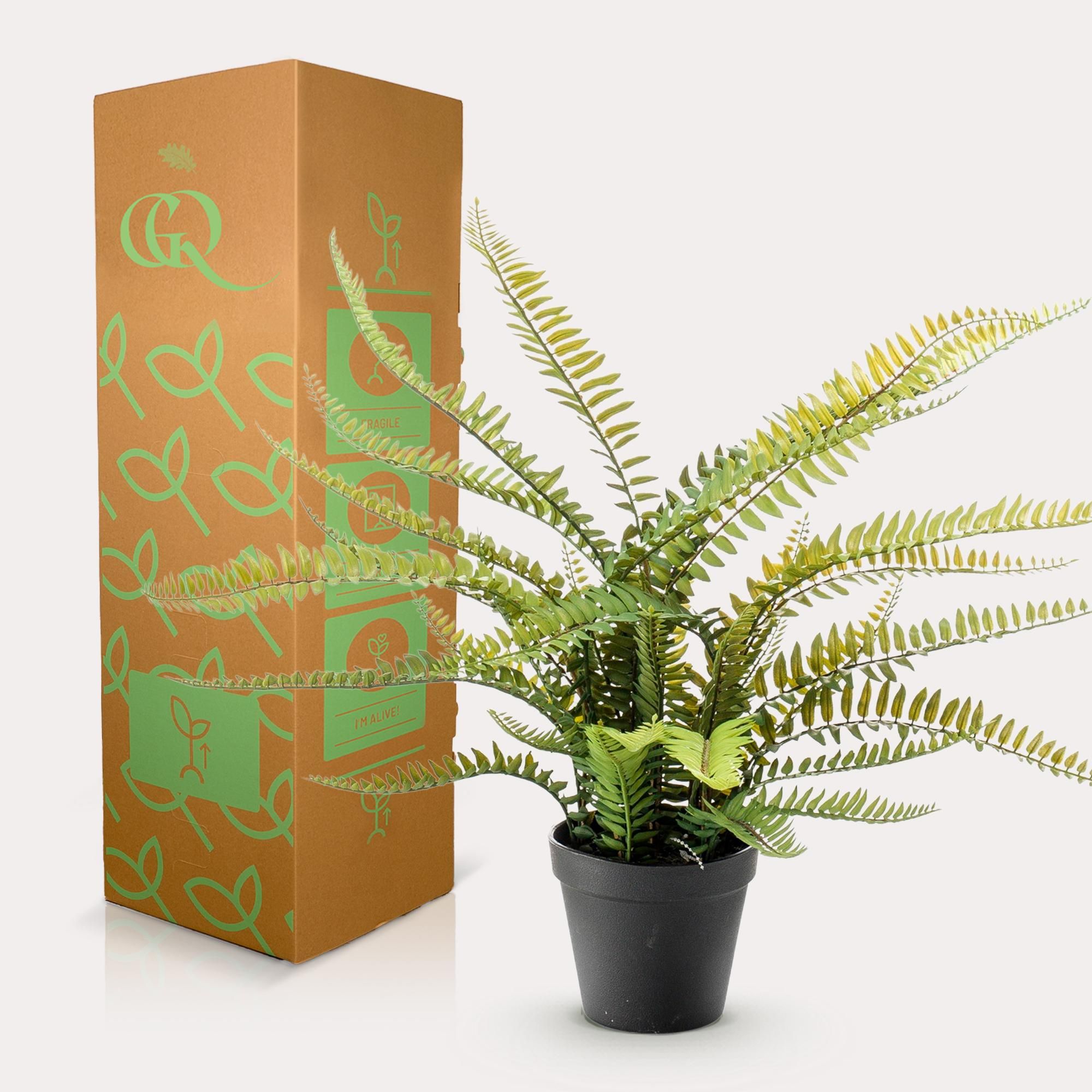 Kunstpflanze Nephrolepis Exaltata Boston Farn