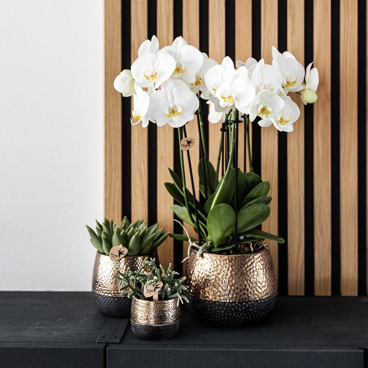 Keramik Blumentopf Kupfer glänzend Ø9cm