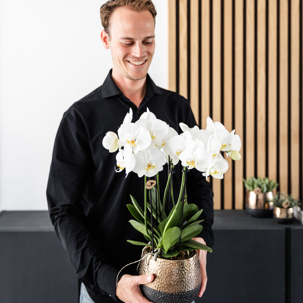 Kombi Angebot – 4 weiße Orchideen – Topfgröße Ø12cm