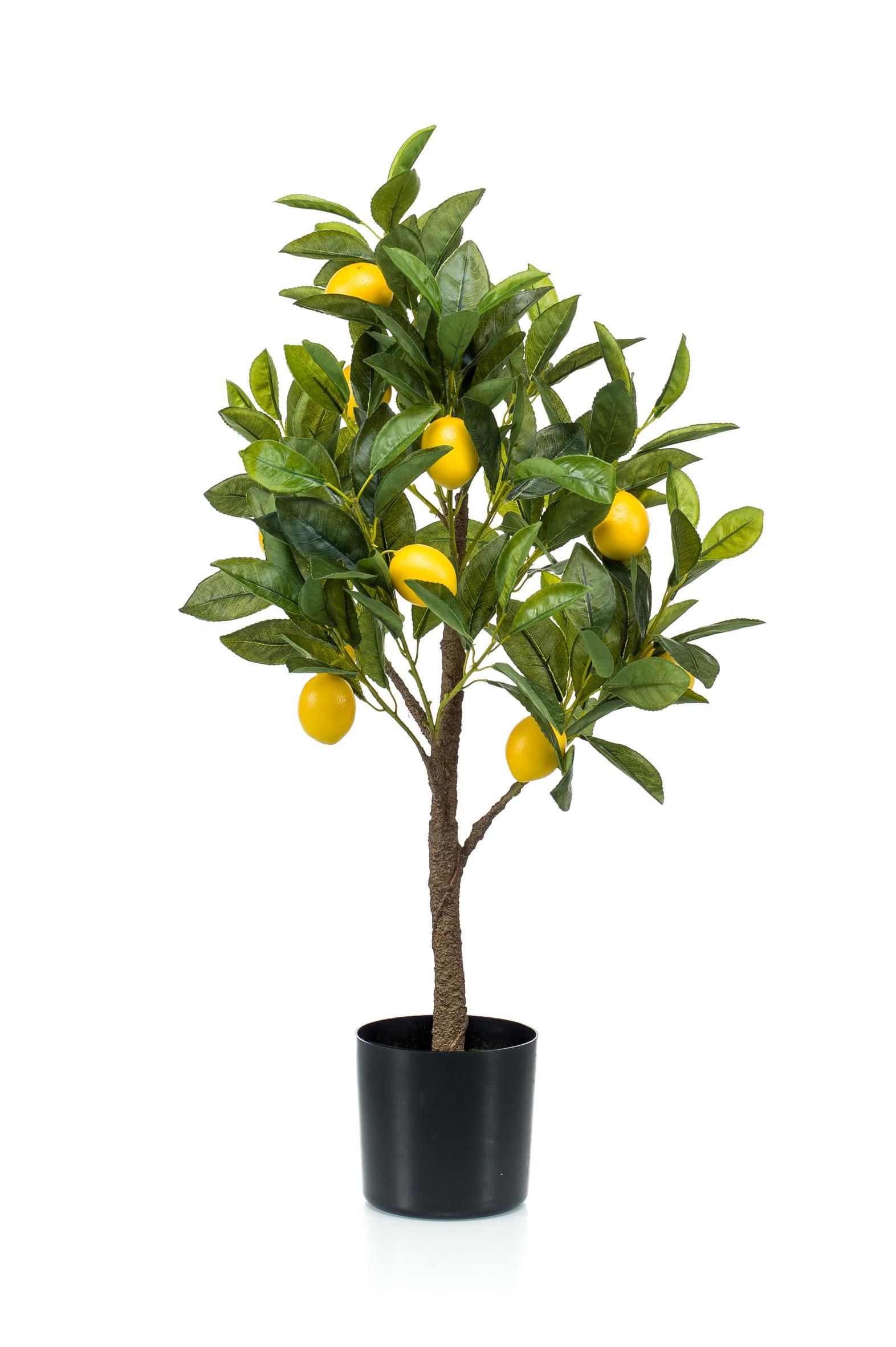 Kunst Zitronenbaum Citrus Limonia