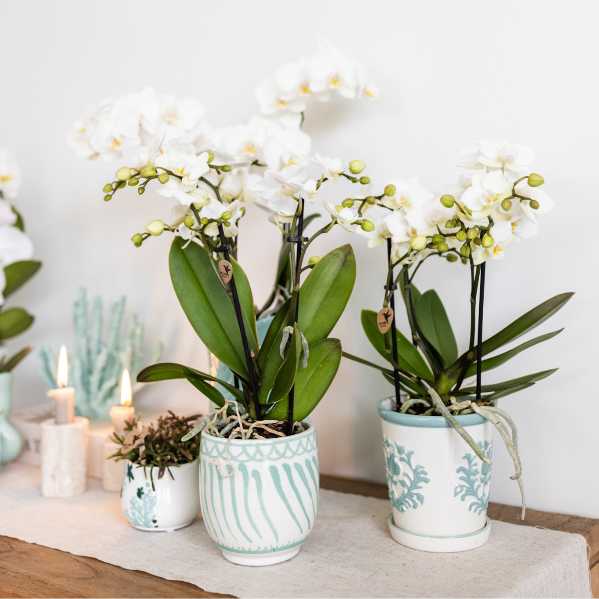 Übertopf Granada Türkis – 9cm Durchmesser – Modern & Stylisch
